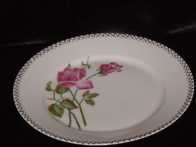 Haviland & Co Limoges Plate
