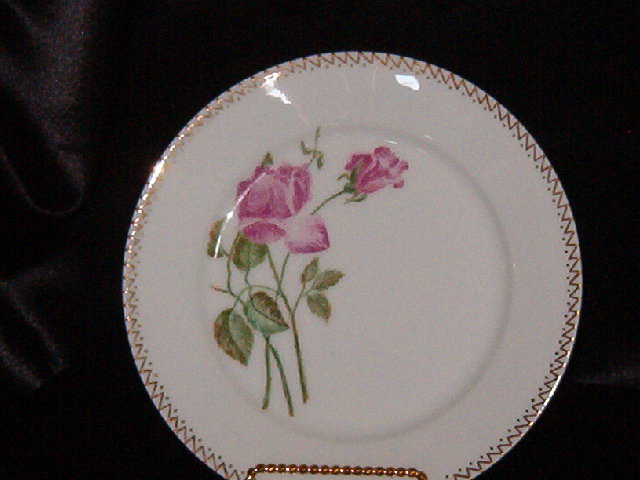 Haviland & Co Limoges Plate