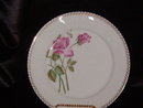 Haviland & Co Limoges Plate