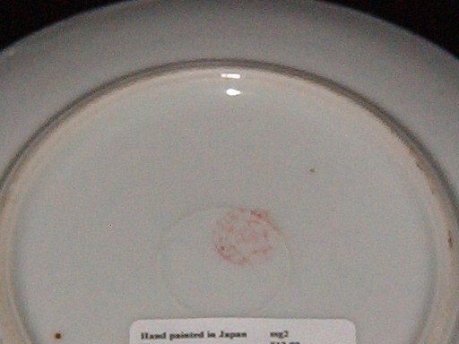 Hand Painted Japan Plate