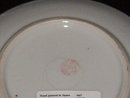 Hand Painted Japan Plate