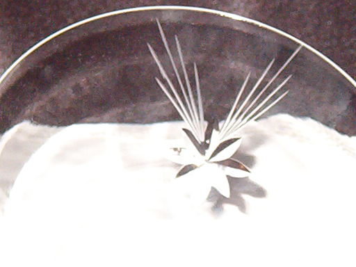 Crystal Star Etched Stemware Champagne/Sherbet