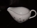 Creative Platinum Star Burst Creamer
