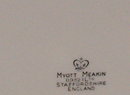 Myott Meakin MYM8 Dinner Plate