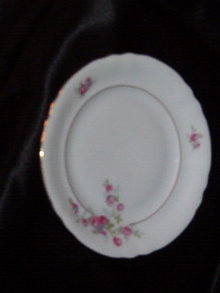 Gebruder Benedikt Czechoslovakia Salad Plate
