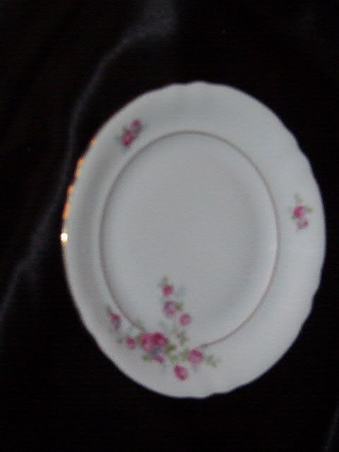 Gebruder Benedikt Czechoslovakia Salad Plate