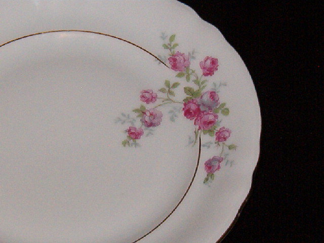 Gebruder Benedikt Czechoslovakia Salad Plate