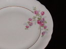 Gebruder Benedikt Czechoslovakia Salad Plate