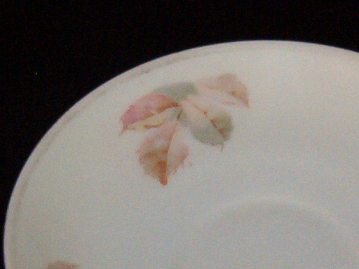 PM Bavaria Saucer