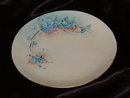 Erdman Schlegelmilch Plate