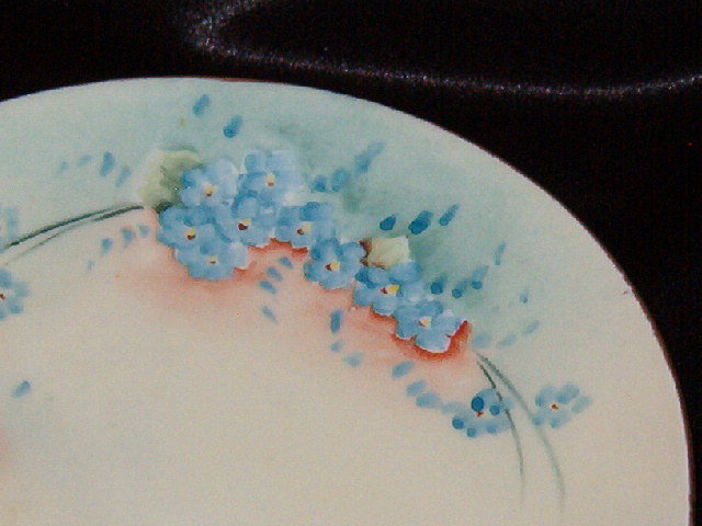 Erdman Schlegelmilch Plate