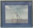 Large Real Photo Sail Boat Race S. F. Bay