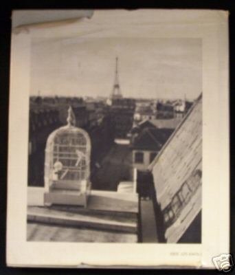 J'Aimes - Andre Kertesz, photographer - 1974