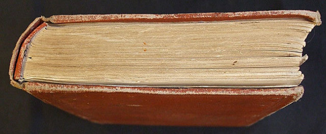 Rare Antique Book 1868 Frank by Harry Castlemon
