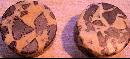 Two Elegant Plinths of Septarian Nodule