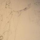 Leonor Fini Drawing