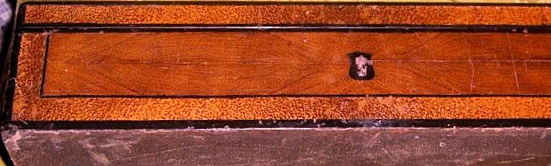 Handsome Palmyra And Ebony box