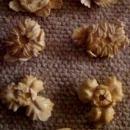 Chinese Ivory Flowers