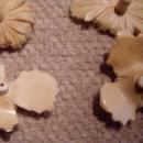 Chinese Ivory Flowers