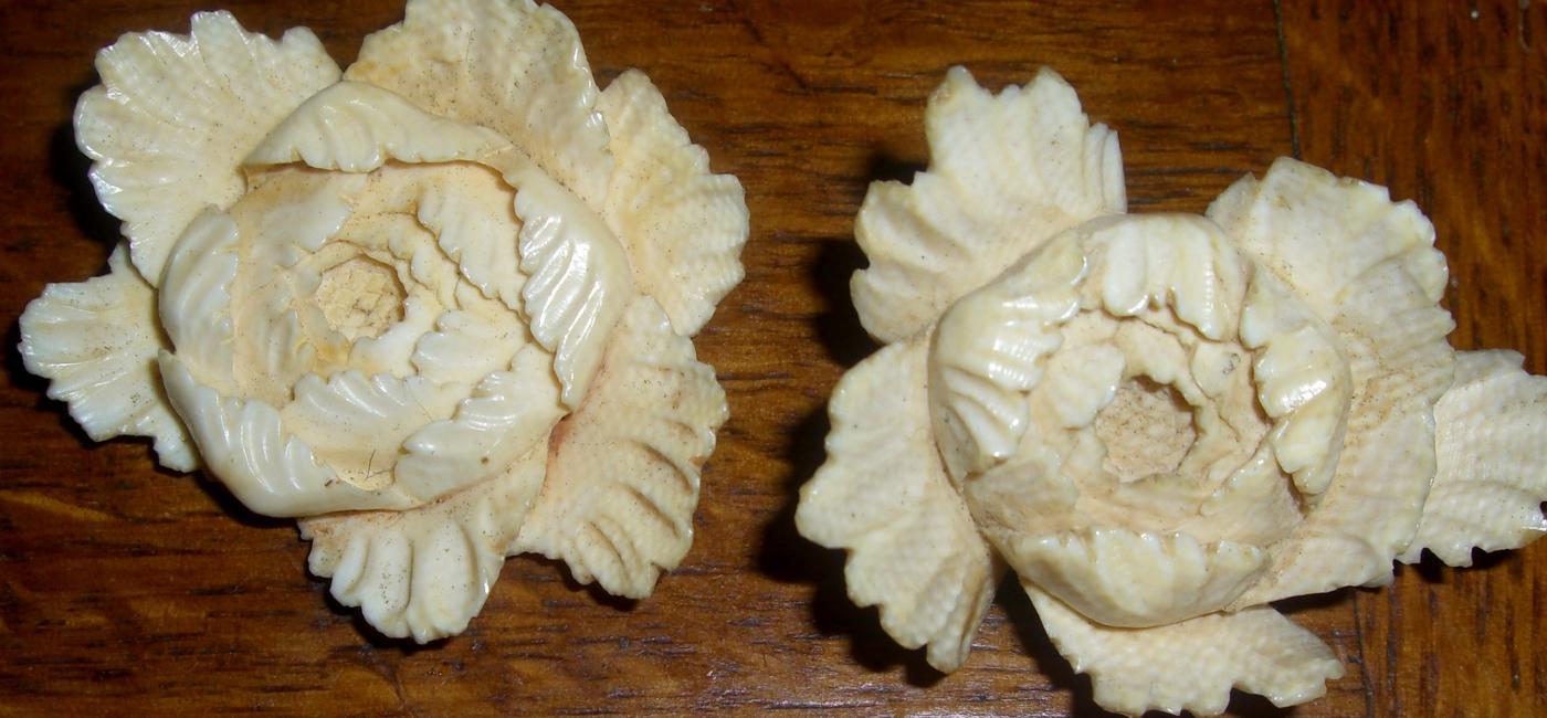 Chinese Ivory Flowers
