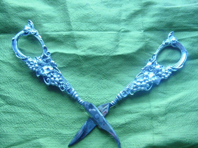 Elaborate Sterling Grape Shears