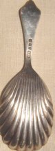 Elegant Sterling Tea Caddy Spoon