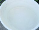 Large Antique Wedgwood Basin