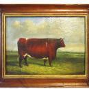 19thC BULL PAINTING / ENGLISH SCHOOL ANIMAL PORTRAIT