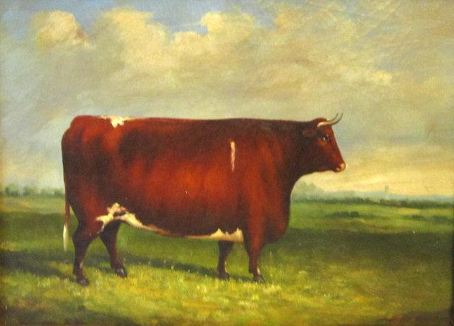 19thC BULL PAINTING / ENGLISH SCHOOL ANIMAL PORTRAIT