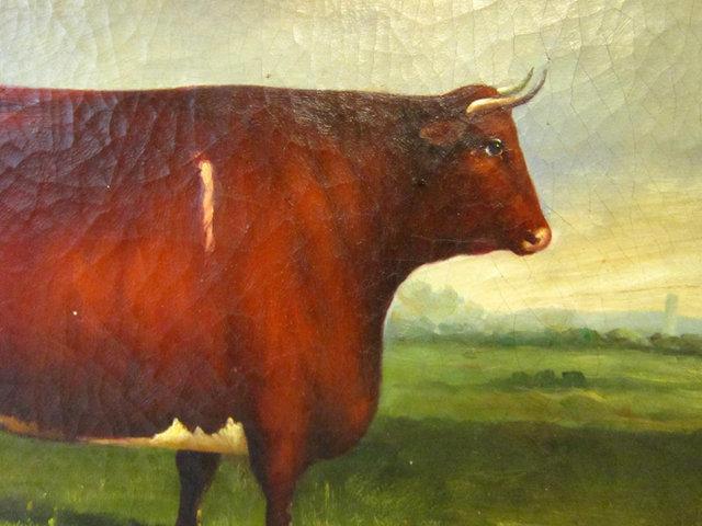19thC BULL PAINTING / ENGLISH SCHOOL ANIMAL PORTRAIT