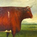 19thC BULL PAINTING / ENGLISH SCHOOL ANIMAL PORTRAIT