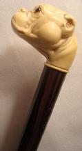 VICTORIAN BULLDOG CANE / CELLULOID/ COCOBOLO