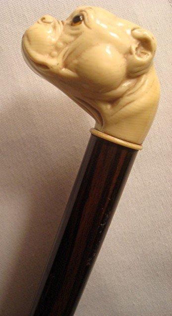 VICTORIAN BULLDOG CANE / CELLULOID/ COCOBOLO