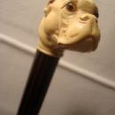 VICTORIAN BULLDOG CANE / CELLULOID/ COCOBOLO
