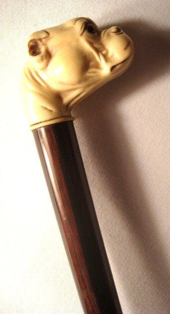 VICTORIAN BULLDOG CANE / CELLULOID/ COCOBOLO