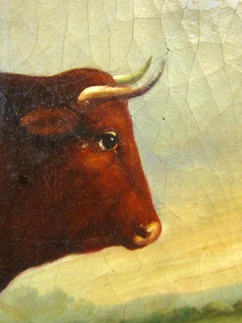 19thC BULL PAINTING / ENGLISH SCHOOL ANIMAL PORTRAIT
