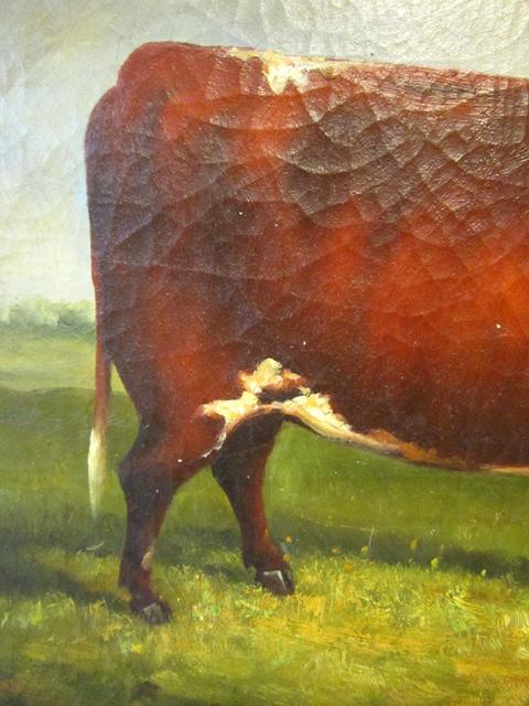 19thC BULL PAINTING / ENGLISH SCHOOL ANIMAL PORTRAIT