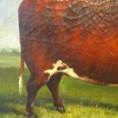 19thC BULL PAINTING / ENGLISH SCHOOL ANIMAL PORTRAIT