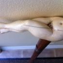 IVORY EROTIC SWORD CANE c. 1800s-1900 SOLINGEN STEEL BLADE