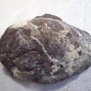 Geode Half - Banded Agate