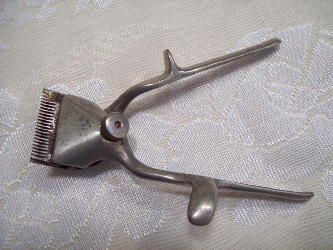 Hair Shears or Clippers