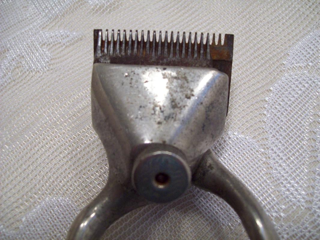 Hair Shears or Clippers