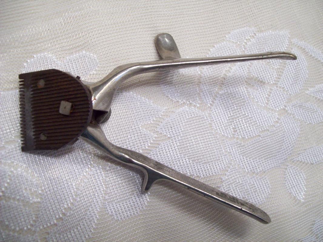 Hair Shears or Clippers