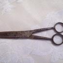 Barber's Sissors