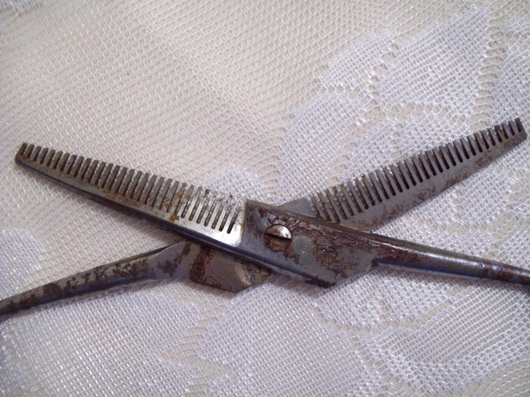 Barber's Sissors