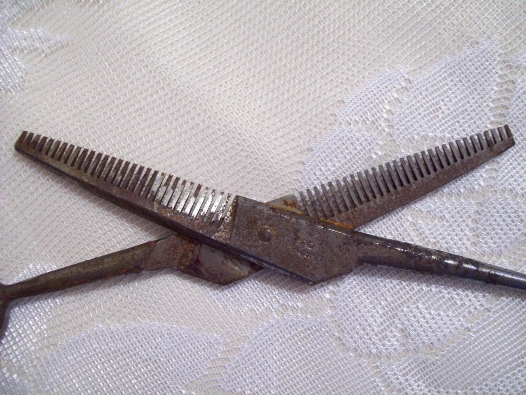 Barber's Sissors