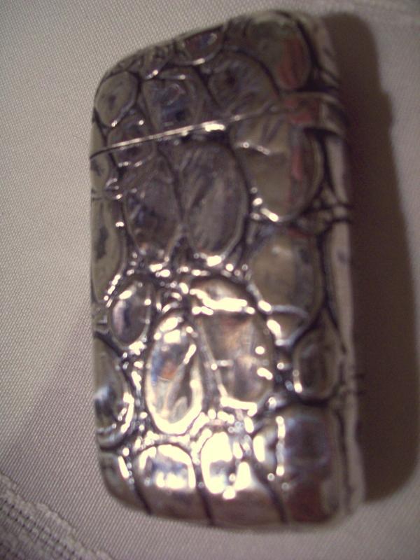 Gorham Reptile Look Matchsafe - Match Safe
