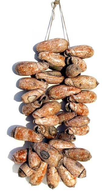 Pre-Colombian Shell Necklace, 15th Century