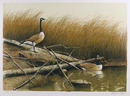 Wayne Cooper Signed Landscape Print, Willow