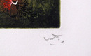 Roberto Matta Aquatint Etching, Nid de Noeds